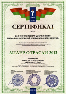 ЛИДЕР ОТРАСЛИ 2013